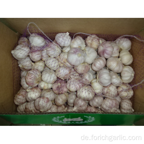 Normaler weißer Knoblauch New Crop Fresh 2019